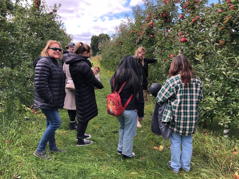 Group apple Picking
